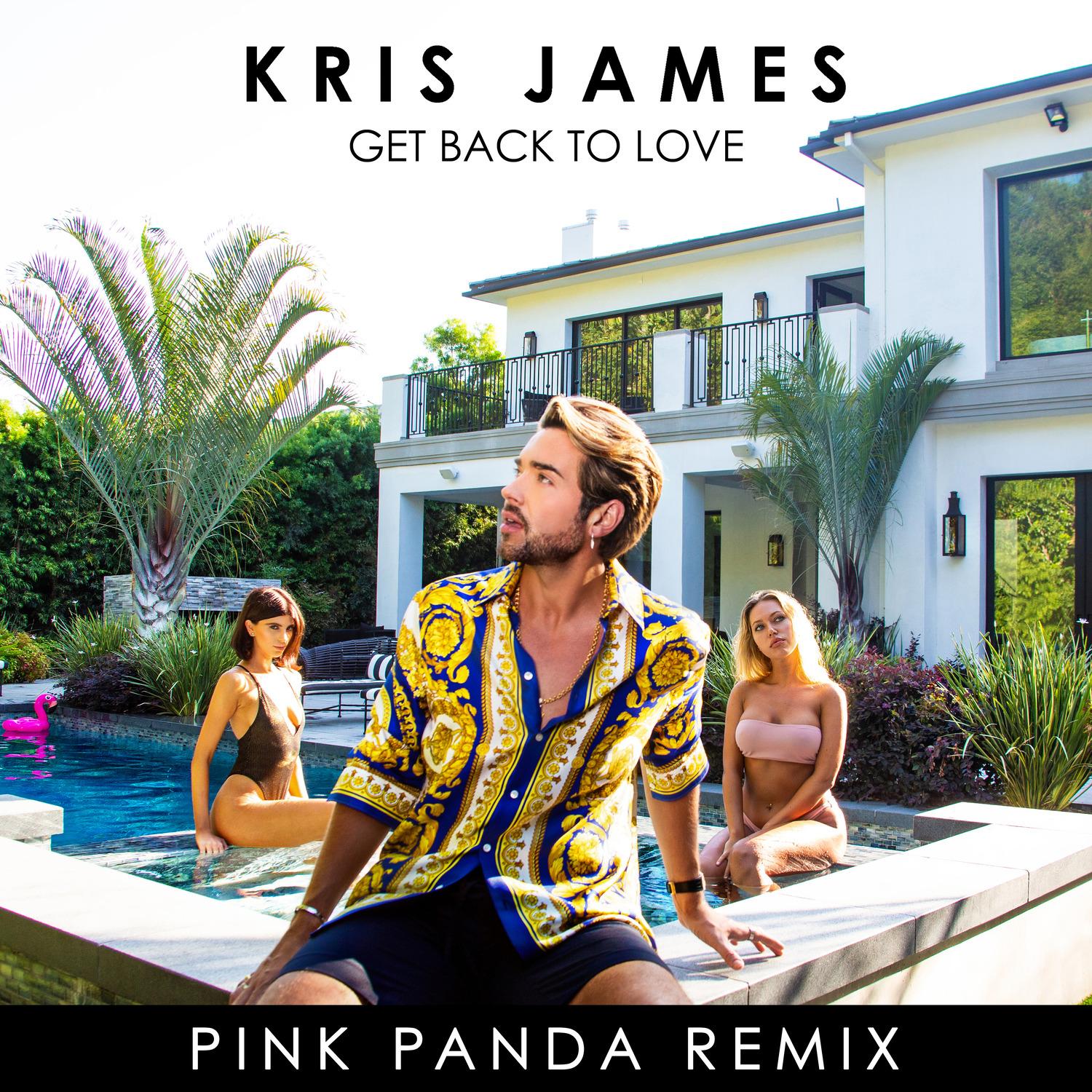 Get Back to Love(Pink Panda Remix)