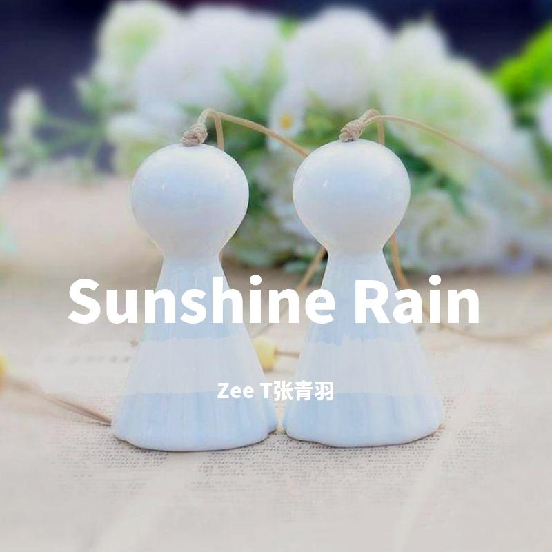 晴雨封面
