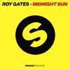 Roy Gates - Midnight Sun (Divini & Warning Mix)