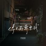 你不再需要我专辑