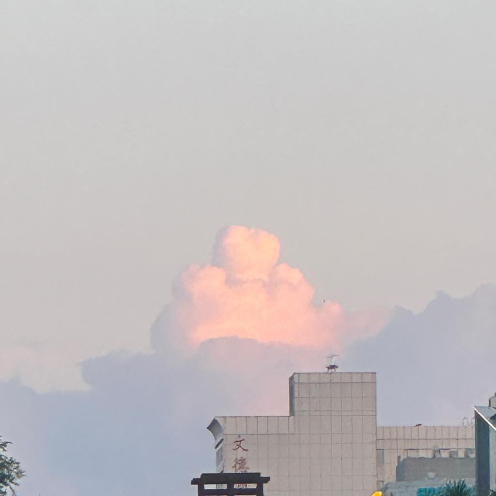 爱吃零食的小白兔