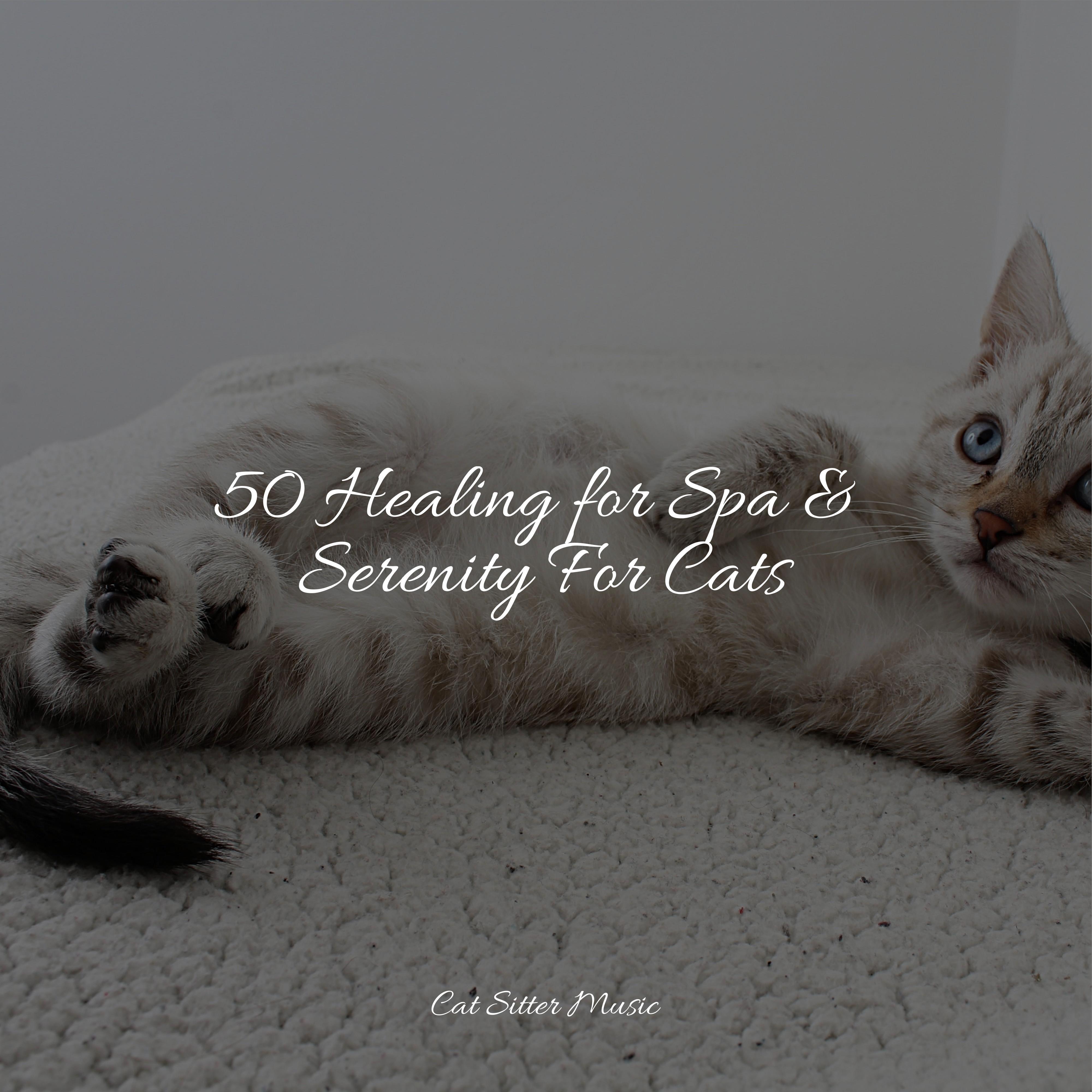 Healing Sounds Music for Cats TA/Cats Music Zone/Music For Cats 单曲