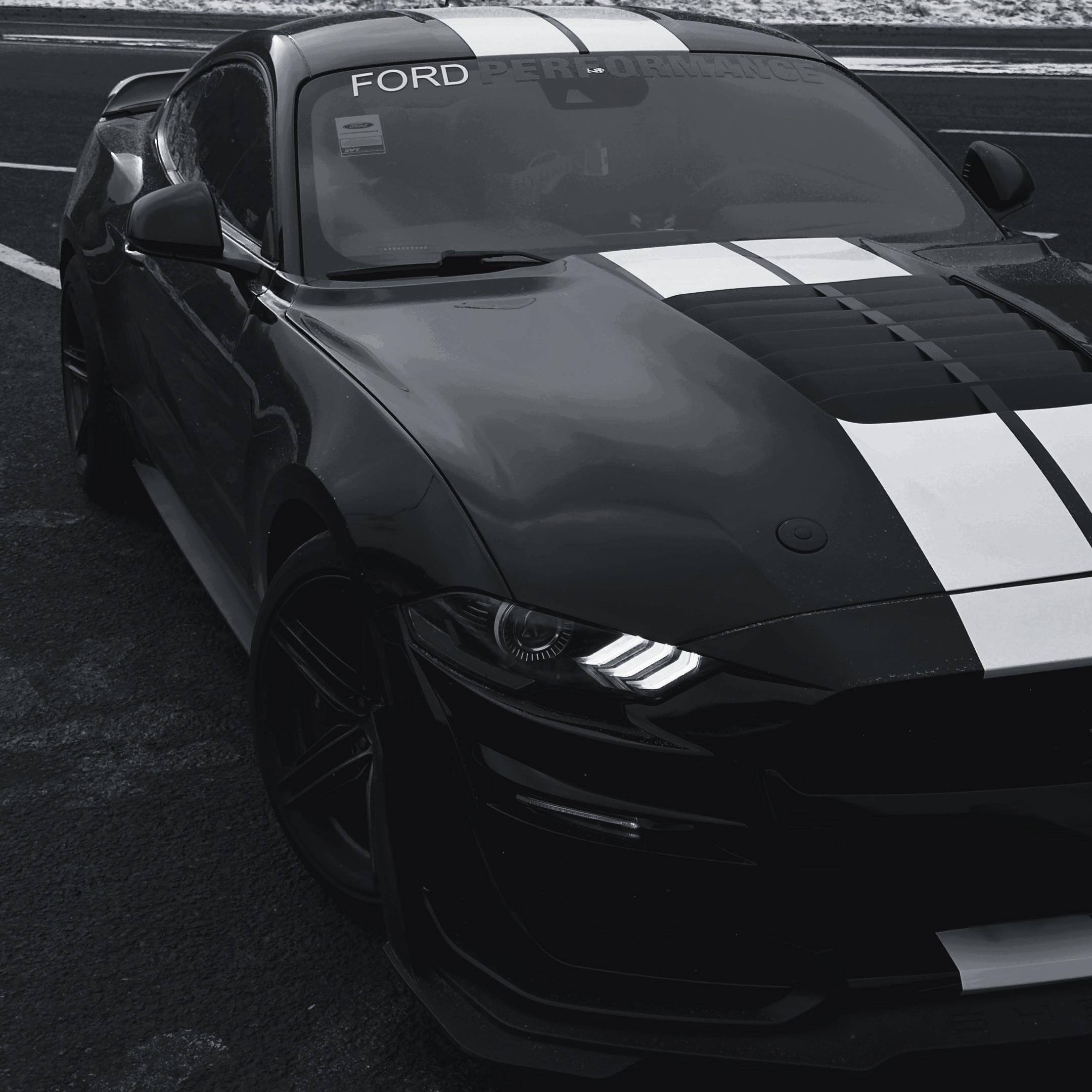 Æ⁷ FORD MUSTANG专用