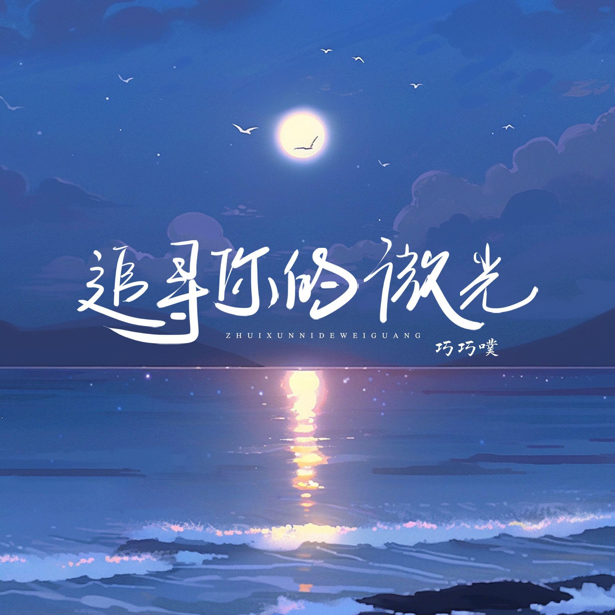 追寻你的微光(伴奏)封面