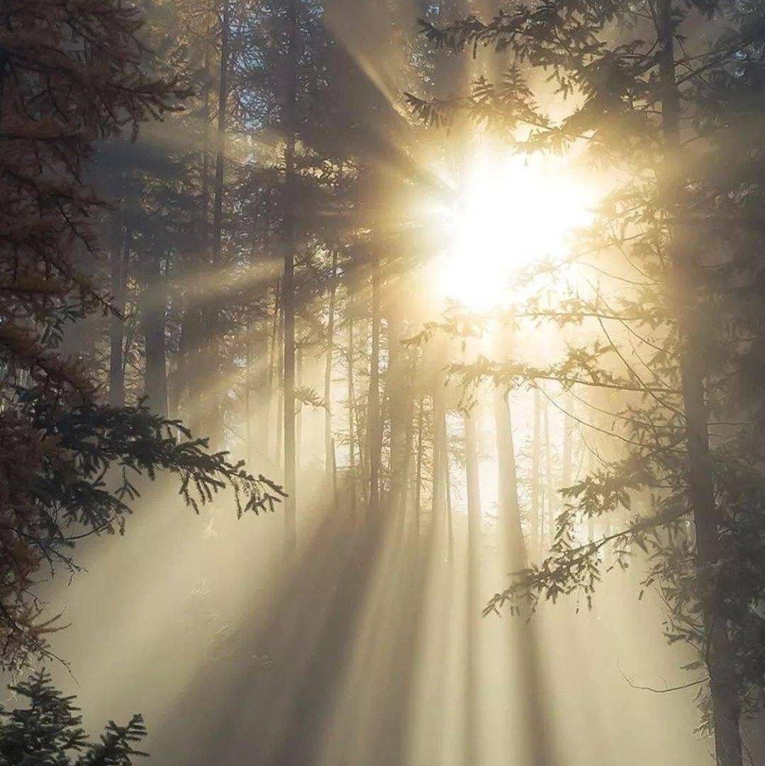 plan is plant a plant on planet by plane