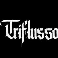 Triflusso