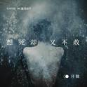 赤伶
