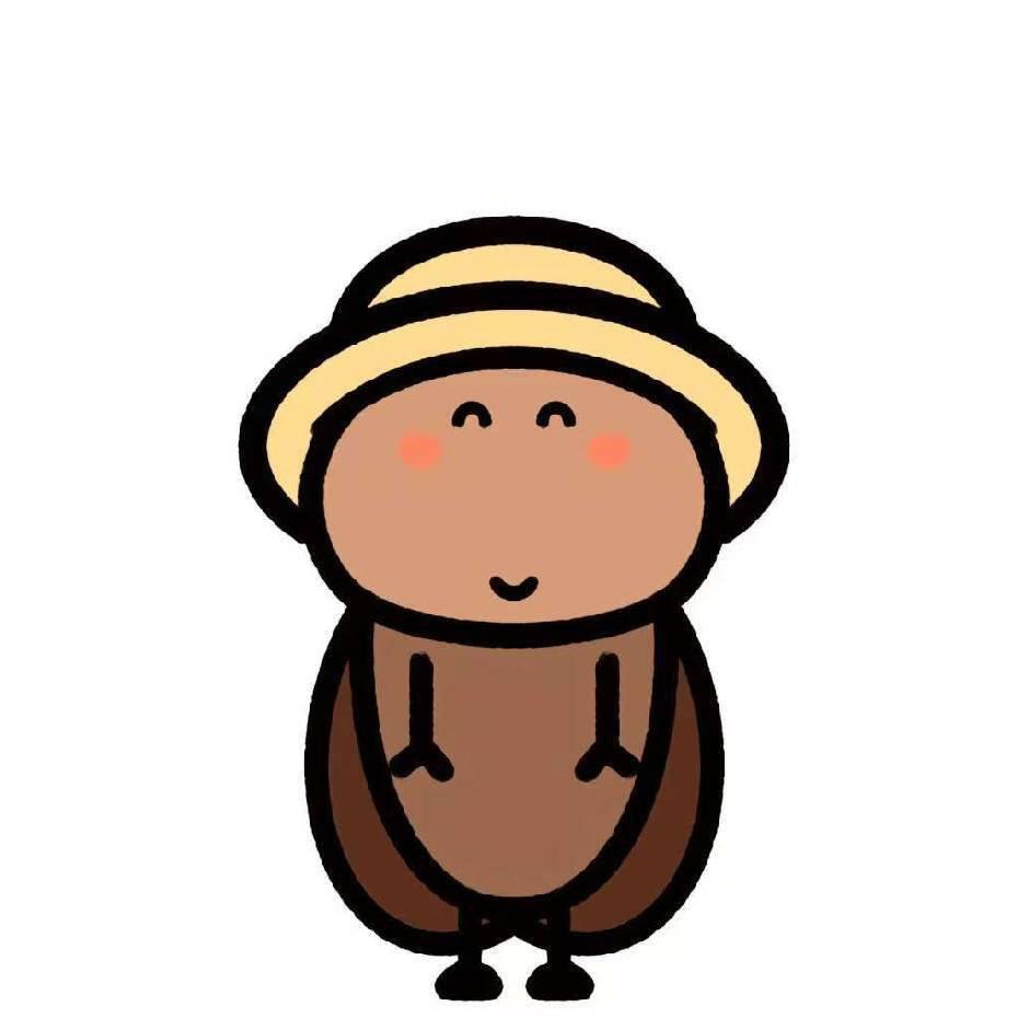 不必借光，你我皆是星辰封面