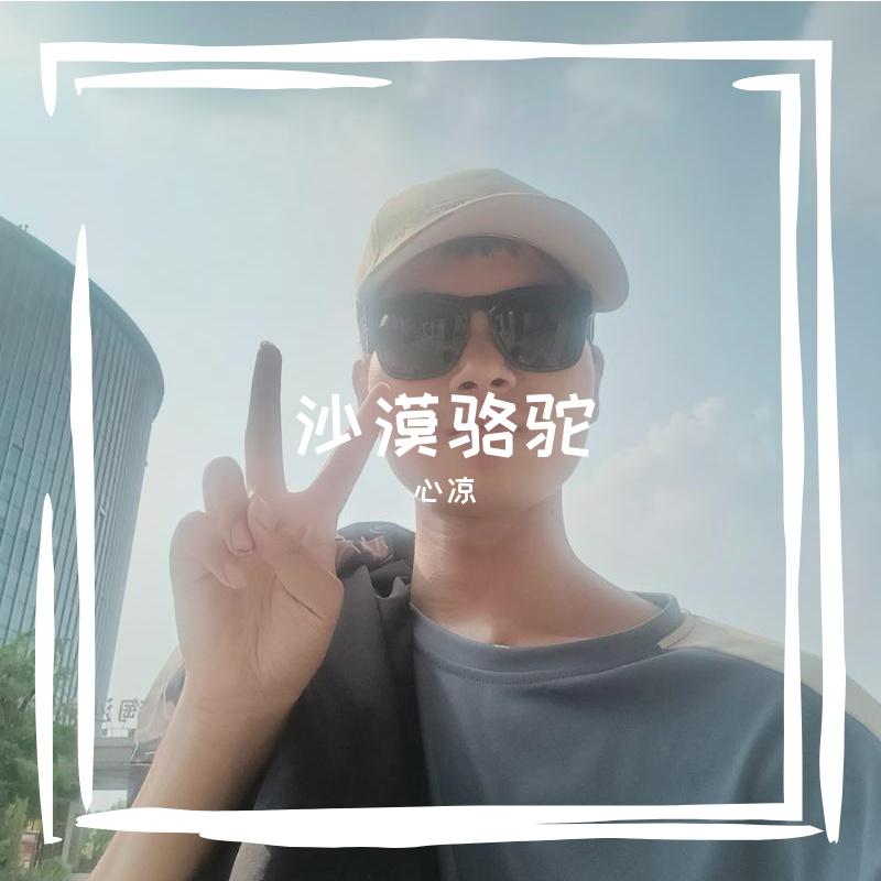 沙漠骆驼 伴奏封面