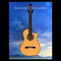 Sonata for a Flamenco