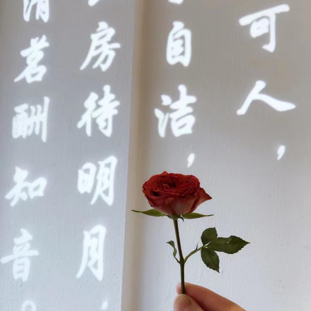 别望着我离开（翻自 木葱葱）封面