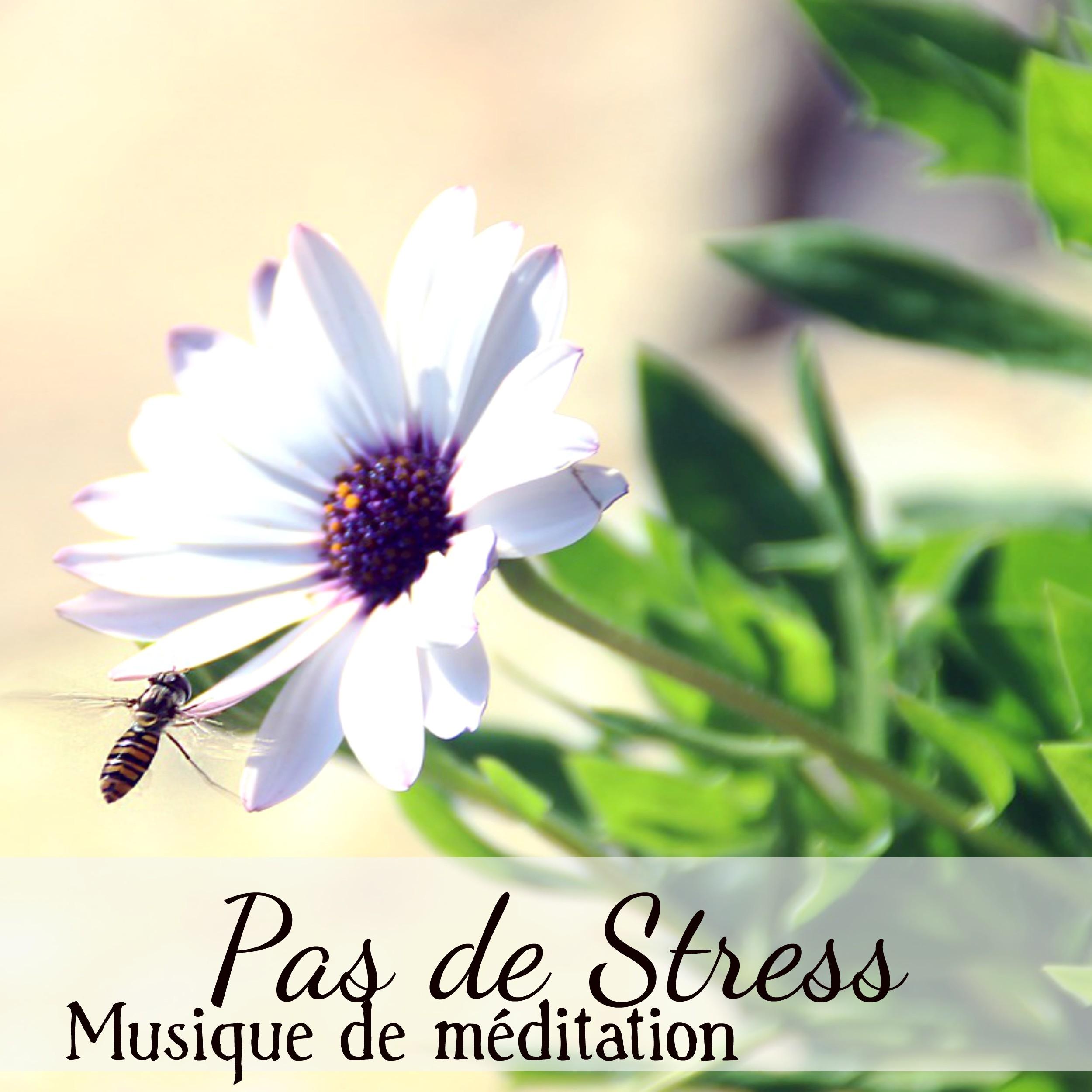 Sons de la nature (Musique de détente)