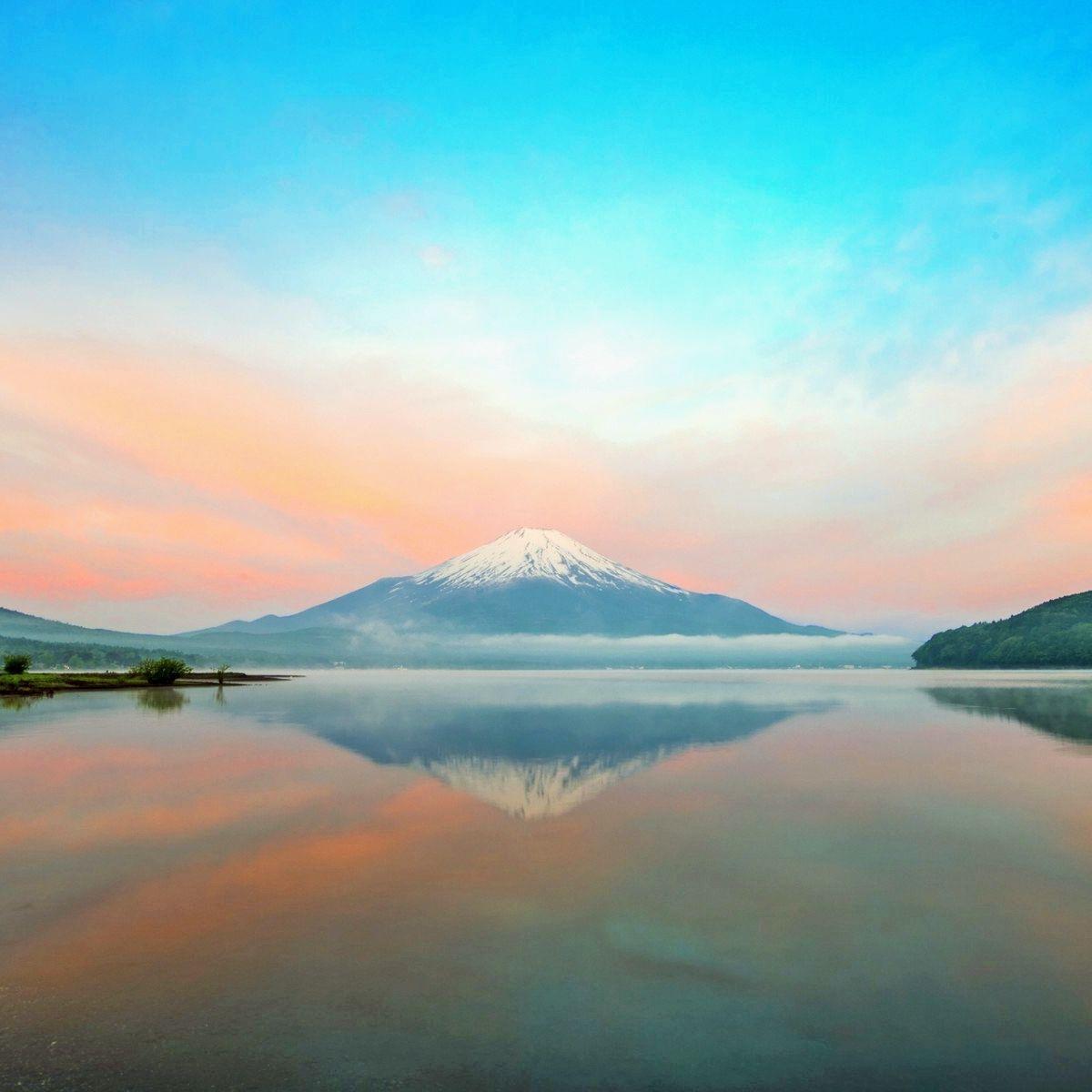 关山月 伴奏封面
