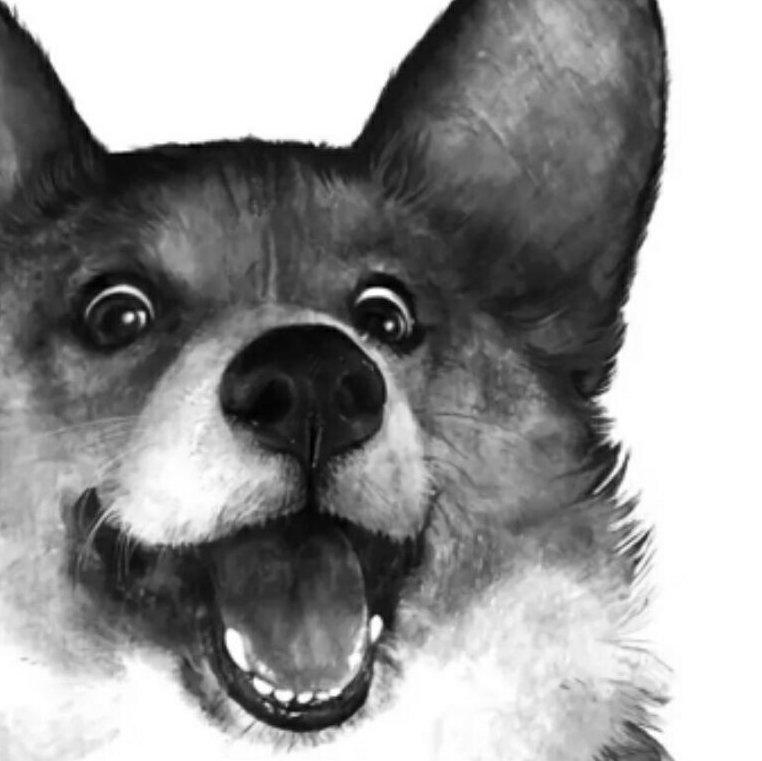 拒绝柳岩十四次