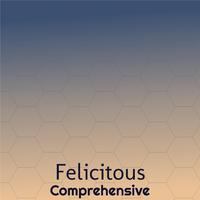 Felicitous Comprehensive