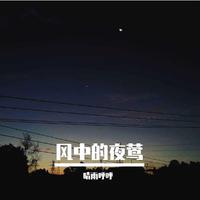 风中的夜莺