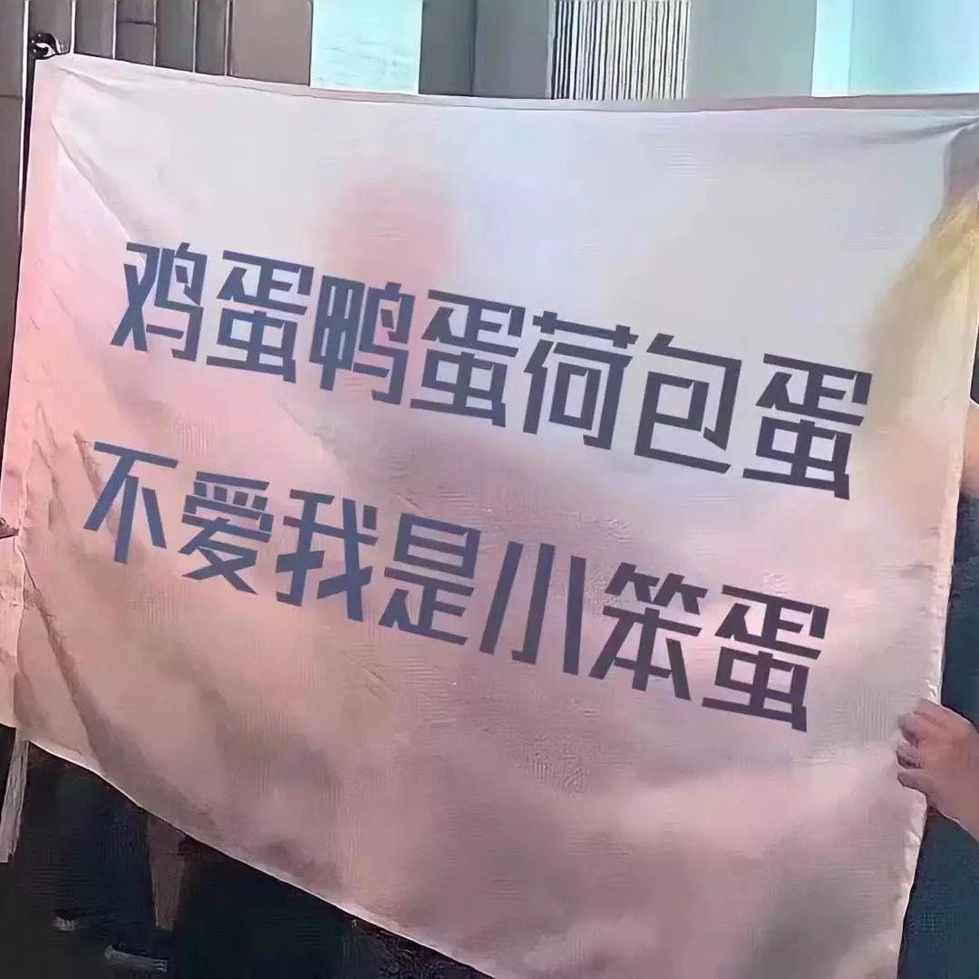 丢三落四的我记了你很久很久封面