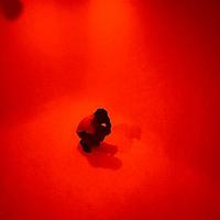 Ontario Ray资料,Ontario Ray最新歌曲,Ontario RayMV视频,Ontario Ray音乐专辑,Ontario Ray好听的歌