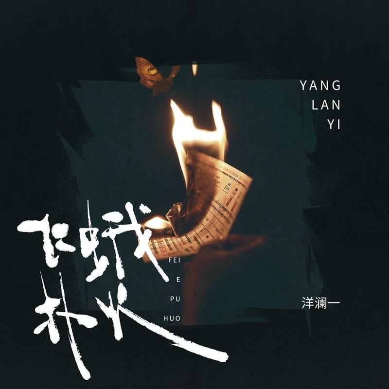 飞蛾扑火(DJ版) - 洋澜一封面