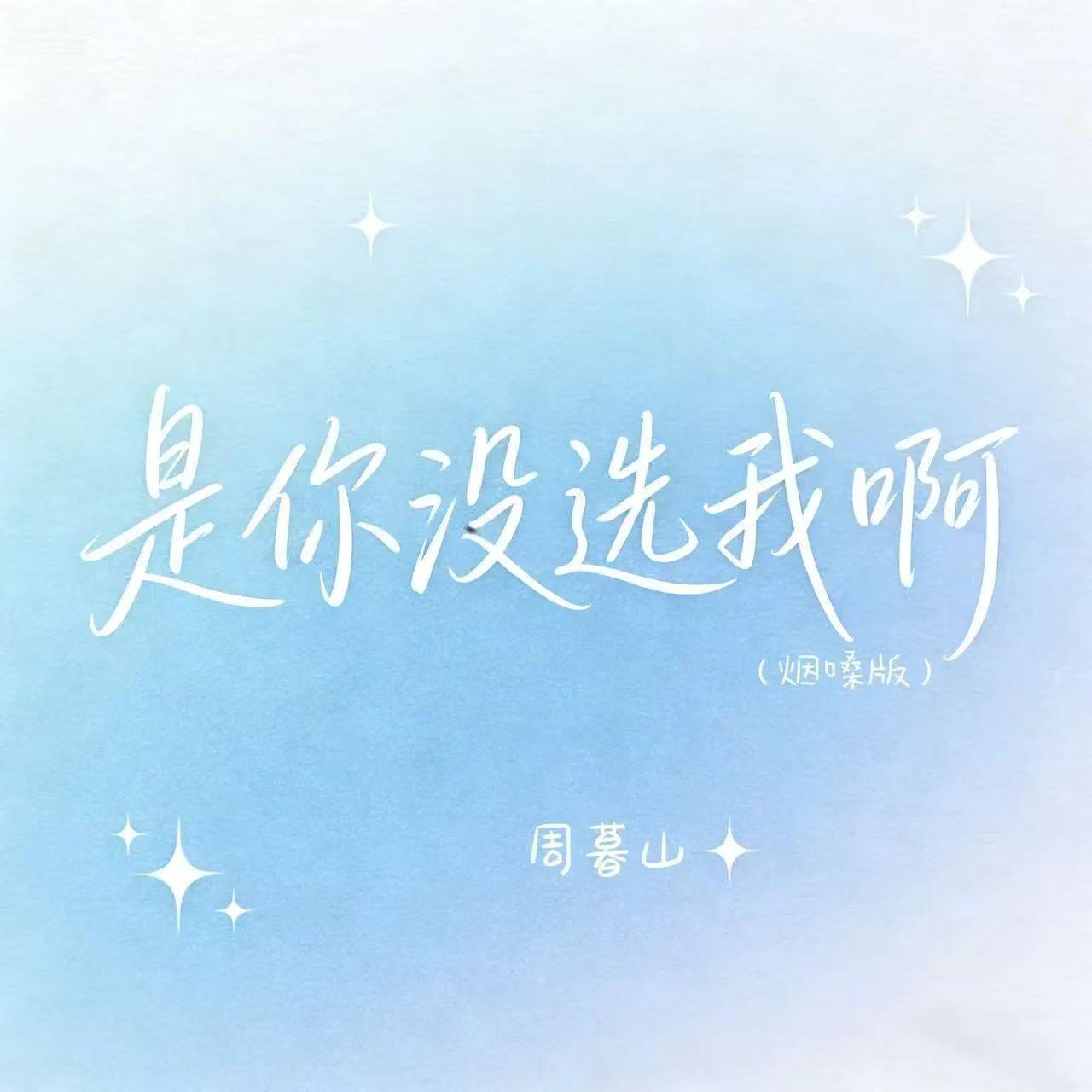 是你没选我啊(烟嗓版)封面