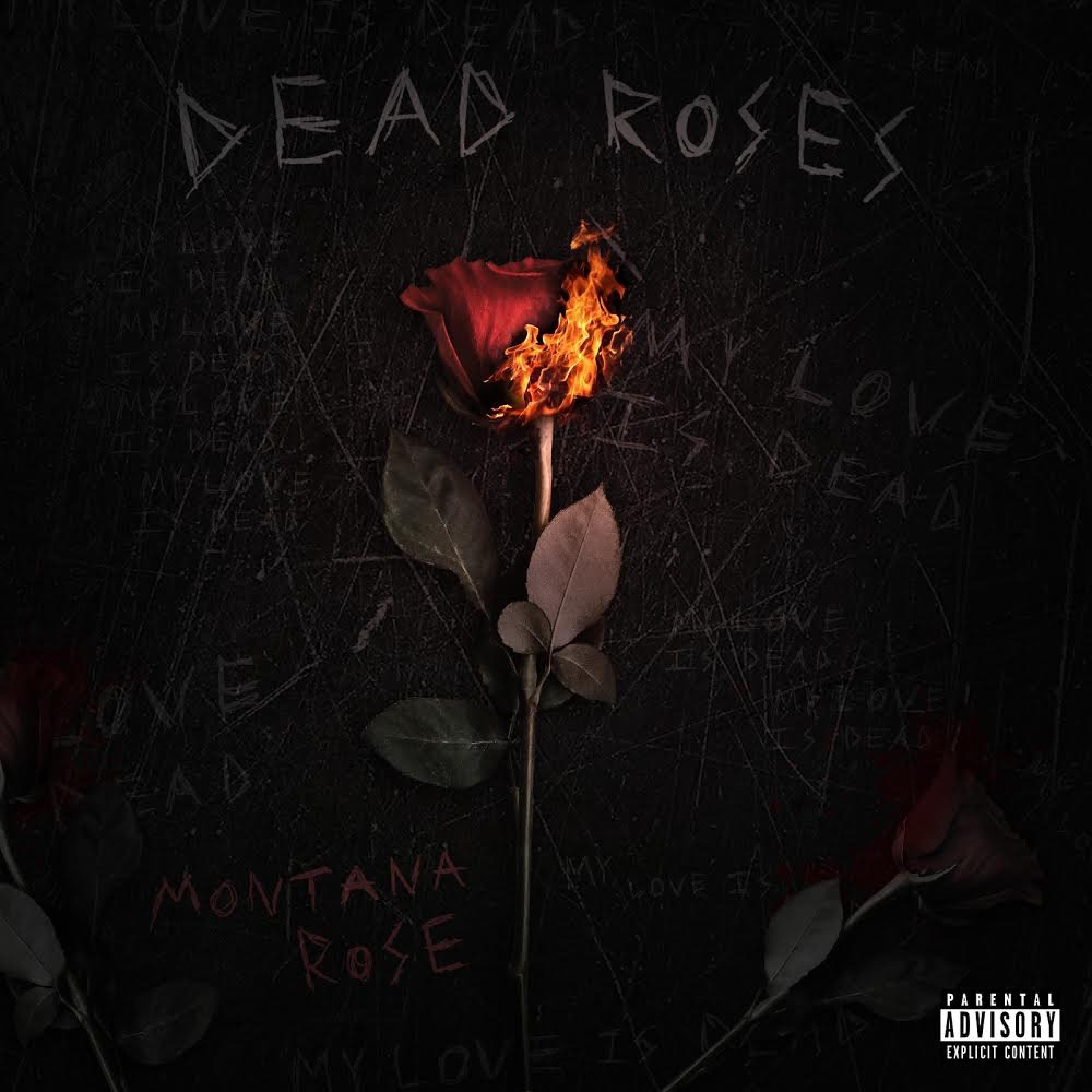 Dead Rose