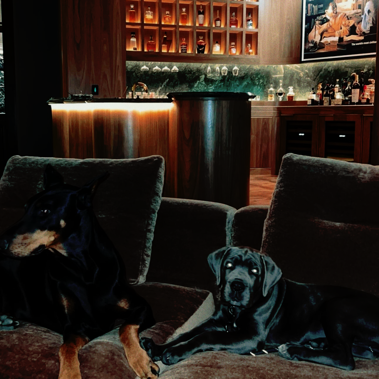 LAVISH (ft.ARTHURNEVAWAKES)