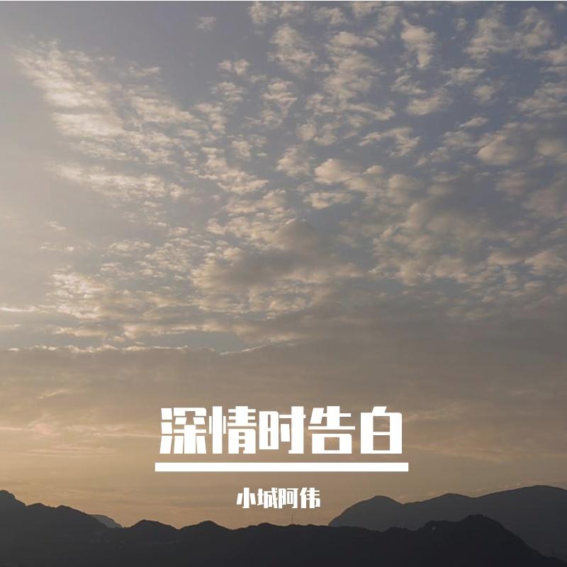 相守一辈子封面