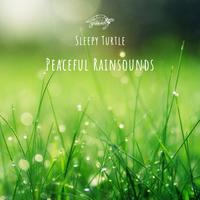 Peaceful Rainsounds