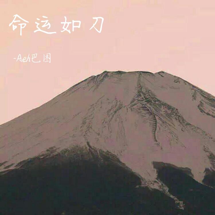 命运如刀封面
