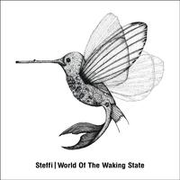 World Of The Waking State