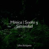 Música | Sueño y Serenidad