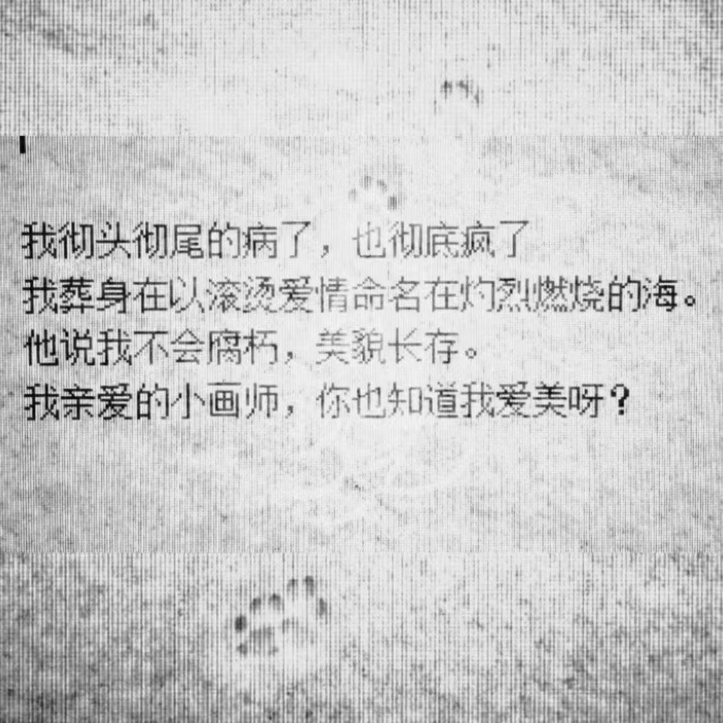 零碎片段封面