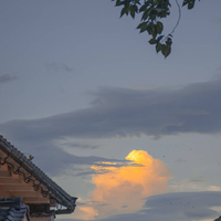 鹿遇