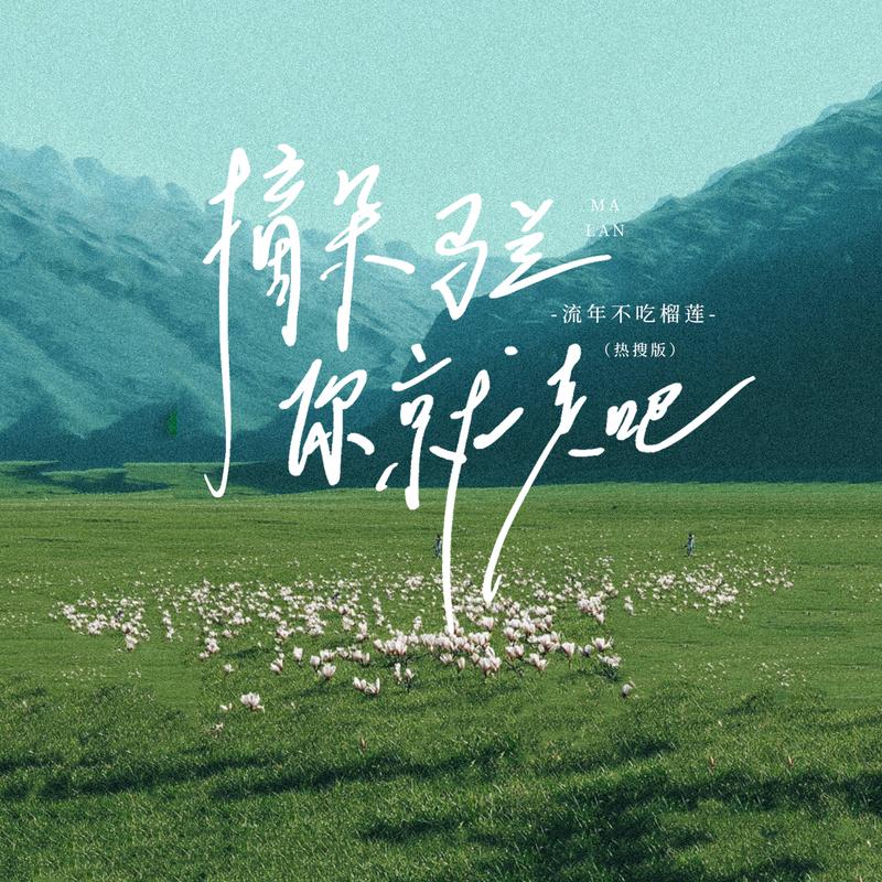 摘朵马兰你就走吧 (Сүн Элсэ版)封面