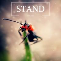 STAND