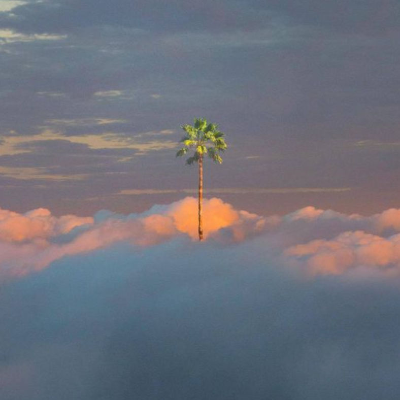 再见14.11.28（Prod by Toky）