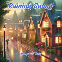 Raining Sound