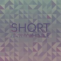 Short Pennywhistle