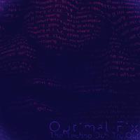 Optimal Fix - The Techno Dub Try Out