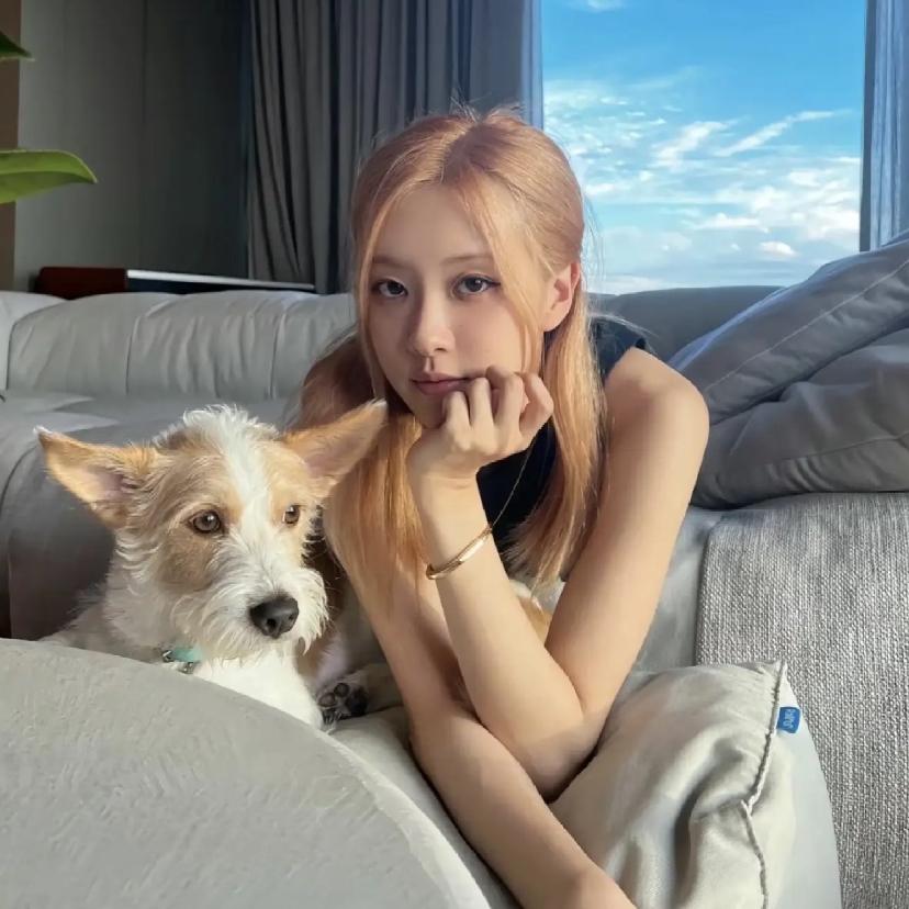 ROSÉ朴彩英肉肉肉的Solo收录