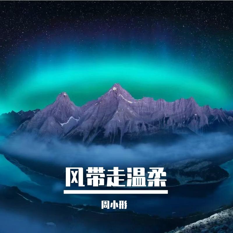 百折不挠 - 周小形封面