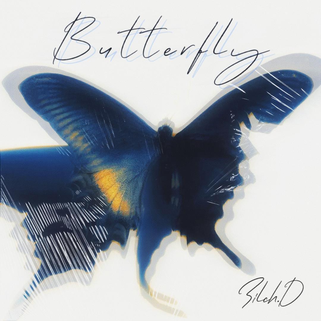 蝴蝶 Butterfly封面