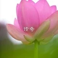 等你等了那么久 (DJ版)封面