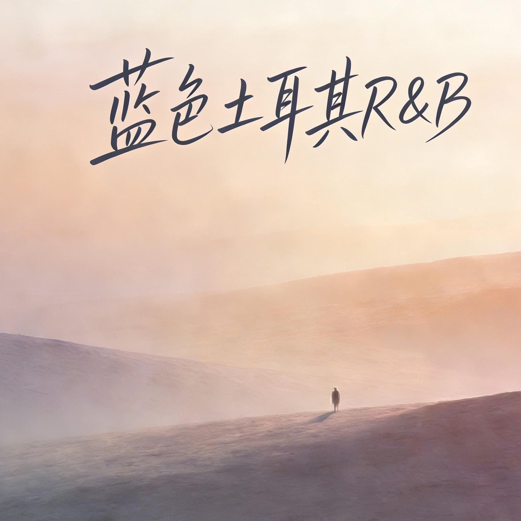 蓝色土耳其封面