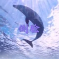 辞九门回忆 (DJ版) - 撒旦、7妹封面