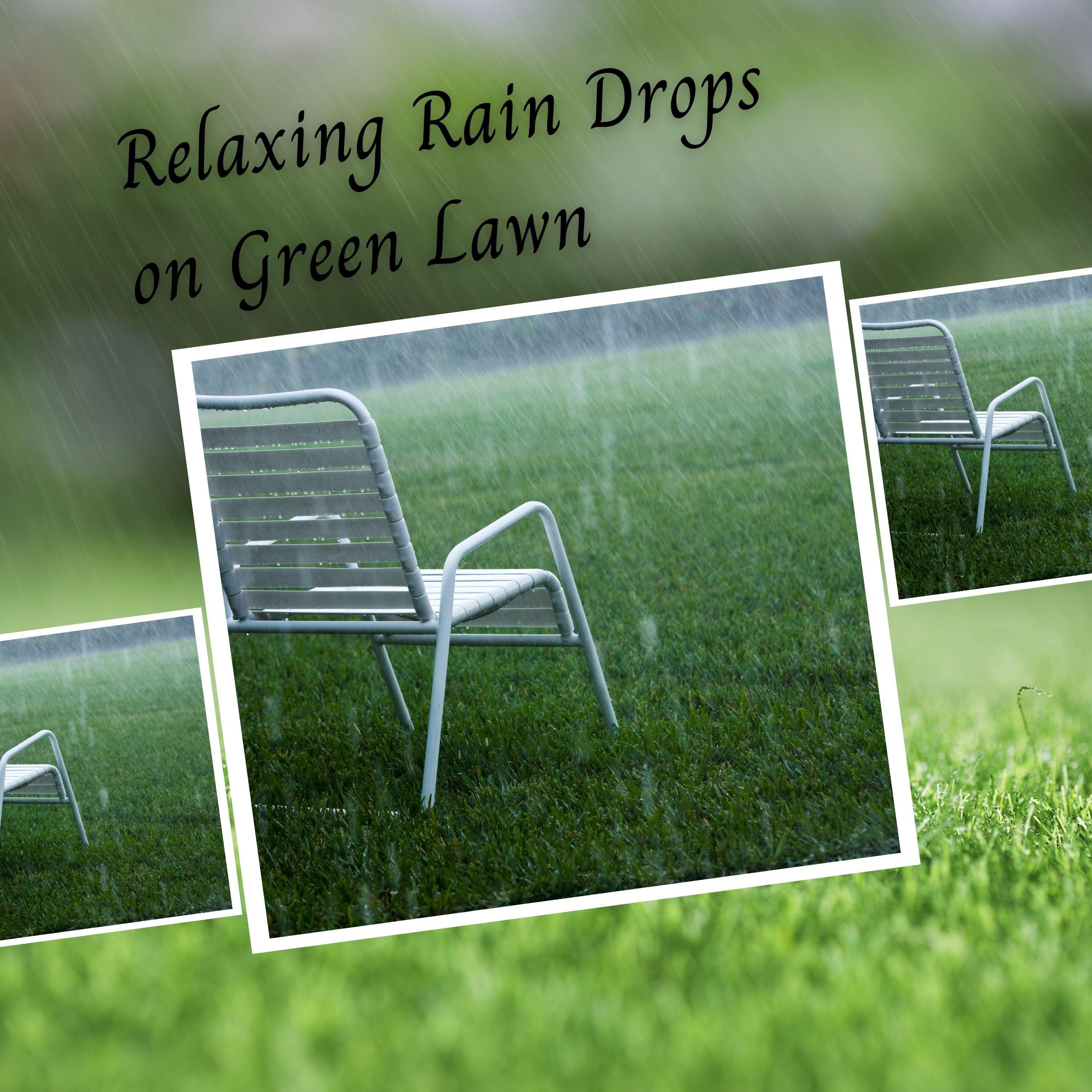 Relaxing Rain Drops on Green Lawn - 3 Hours
