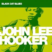 John Lee Hooker - Street Is Filled With Women