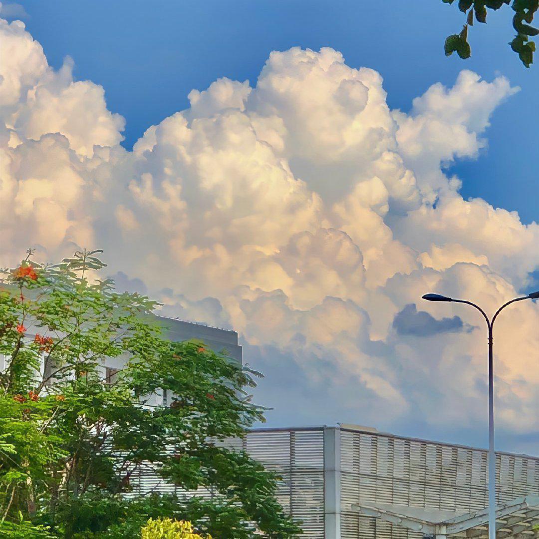 8bite || 一个宝藏歌手❤️拯救不开心