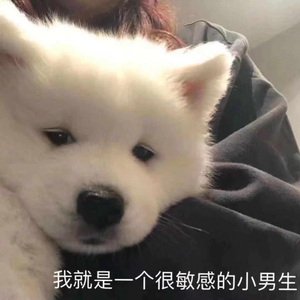 音乐是唯一没有副作用的良药.