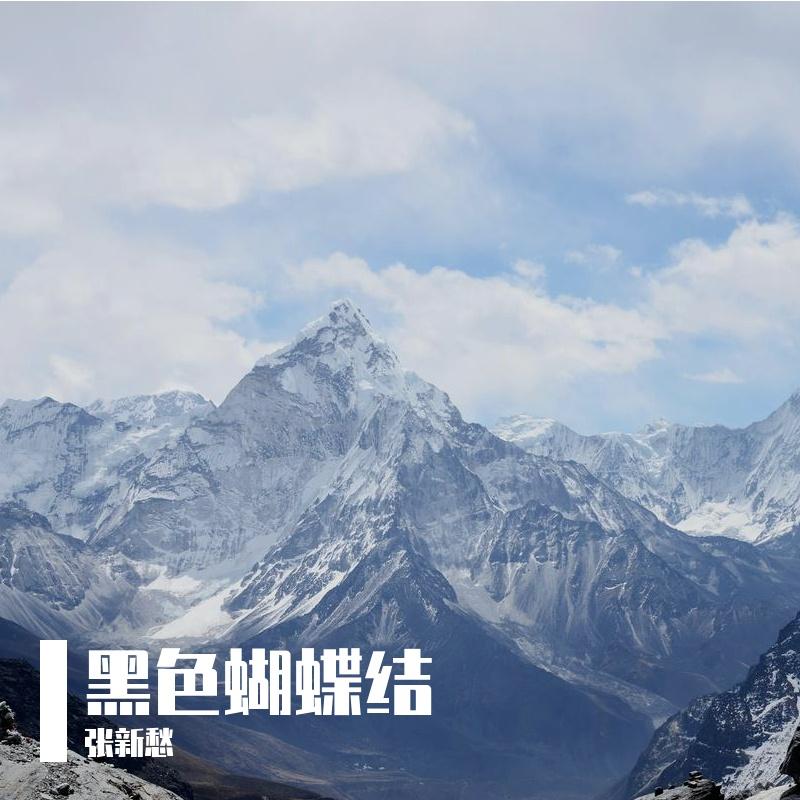 黑色蝴蝶结 - 张新愁封面